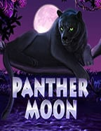 ทำไมต้องสมัคร mvpatm168 เพื่อทดลองเล่นสล็อตสนุกๆ